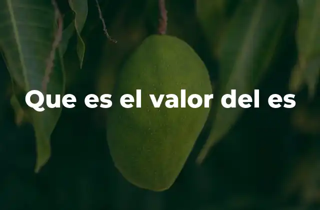 Que es el Valor Del es