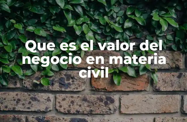 Que es el Valor Del Negocio en Materia Civil