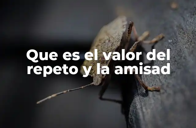 Que es el Valor Del Repeto y la Amisad