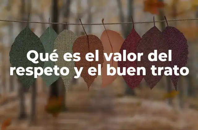 Qué es el Valor Del Respeto y el Buen Trato 2 La base de una sociedad equitativa