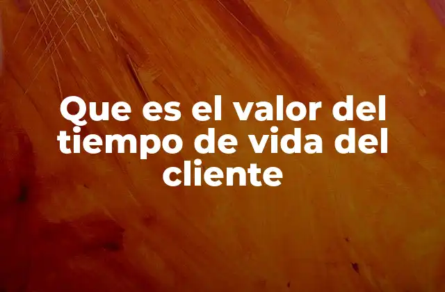 Que es el Valor Del Tiempo de Vida Del Cliente