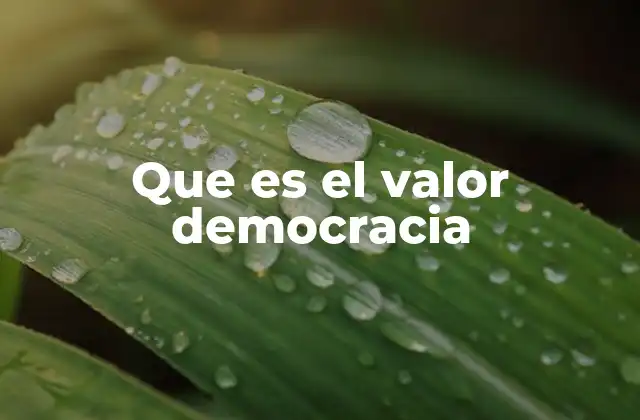 Que es el Valor Democracia