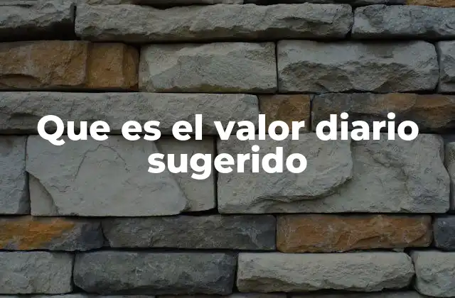 Que es el Valor Diario Sugerido