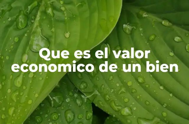 Cómo se mide el valor económico en diferentes contextos