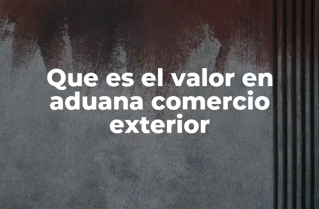 Que es el Valor en Aduana Comercio Exterior