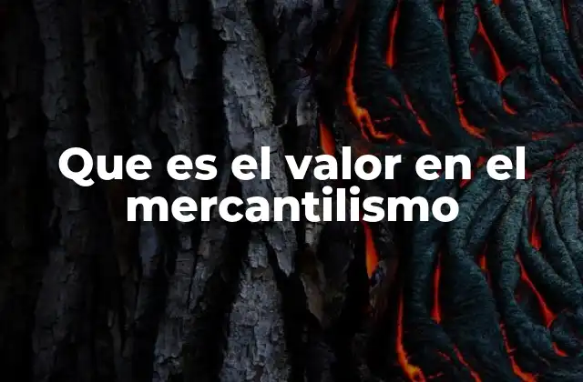 Que es el Valor en el Mercantilismo