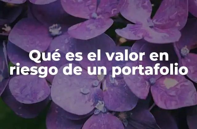 Qué es el Valor en Riesgo de un Portafolio 2 Cómo se relaciona el VaR con el riesgo financiero