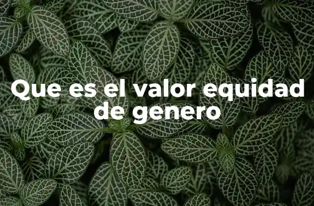 Que es el Valor Equidad de Genero