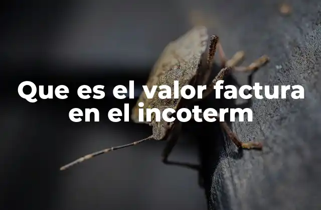 Que es el Valor Factura en el Incoterm