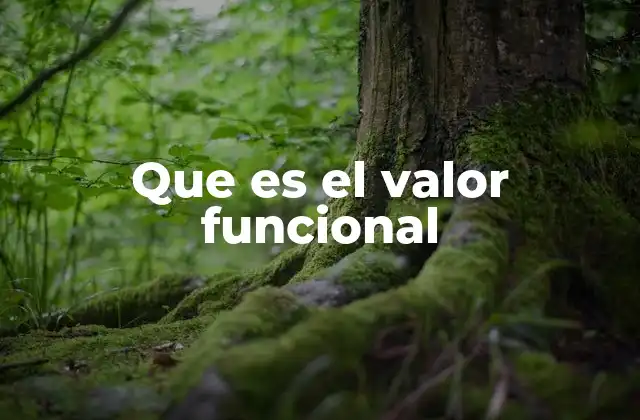 Que es el Valor Funcional