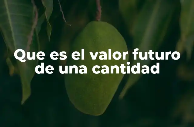Que es el Valor Futuro de una Cantidad