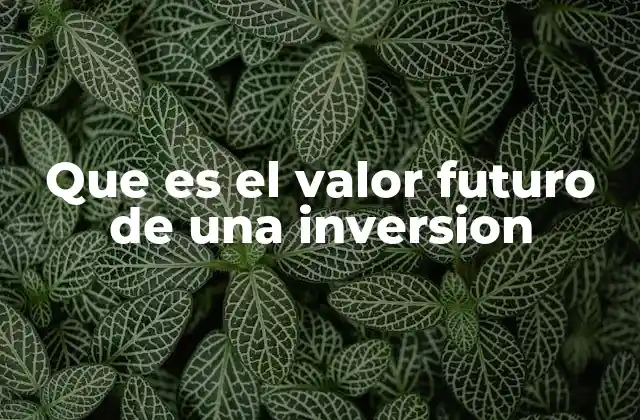 Que es el Valor Futuro de una Inversion