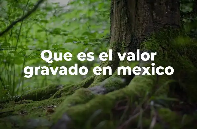 Que es el Valor Gravado en Mexico