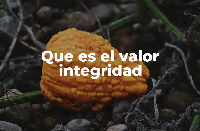 Que es el Valor Integridad