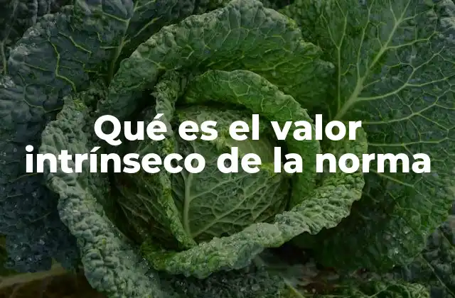 Qué es el Valor Intrínseco de la Norma