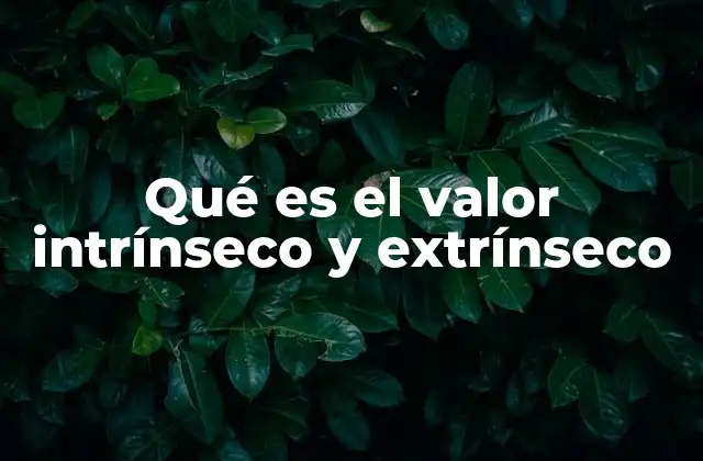 Qué es el Valor Intrínseco y Extrínseco