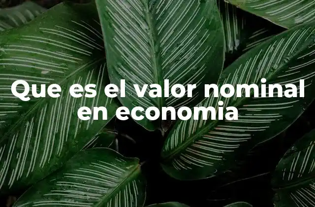Que es el Valor Nominal en Economia