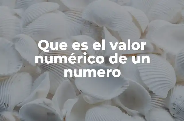 Que es el Valor Numérico de un Numero