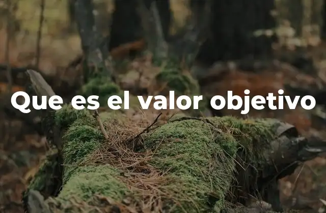 Que es el Valor Objetivo