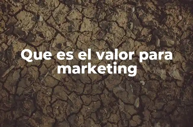 Que es el Valor para Marketing