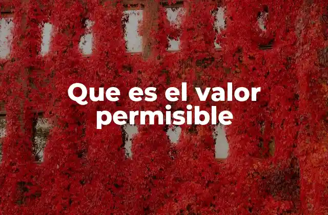 Que es el Valor Permisible