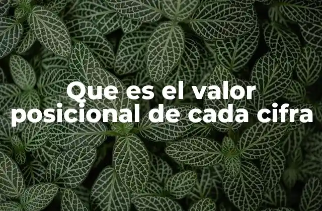 Que es el Valor Posicional de Cada Cifra