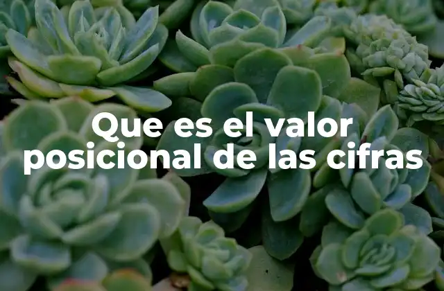 Cómo se relaciona el valor posicional con el sistema numérico