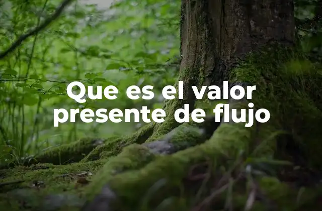 Que es el Valor Presente de Flujo