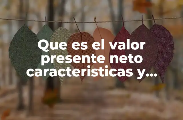 Que es el Valor Presente Neto Caracteristicas y Formula