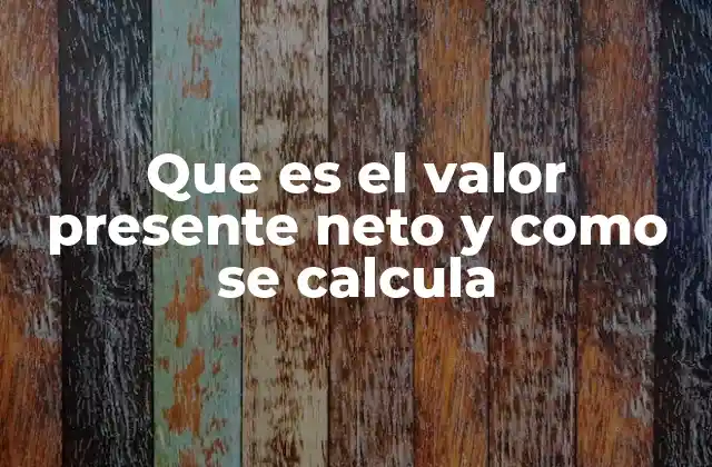 Que es el Valor Presente Neto y como Se Calcula