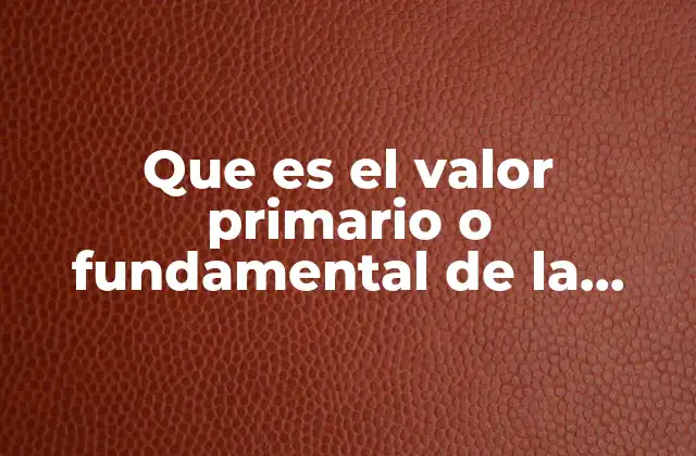 Que es el Valor Primario o Fundamental de la Denotación