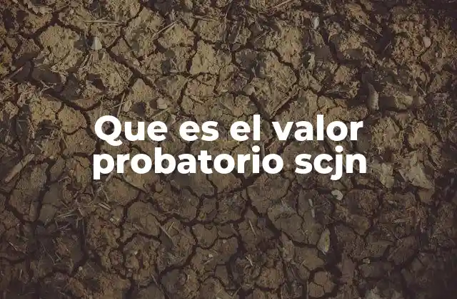 Que es el Valor Probatorio Scjn