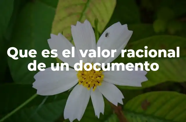 Que es el Valor Racional de un Documento