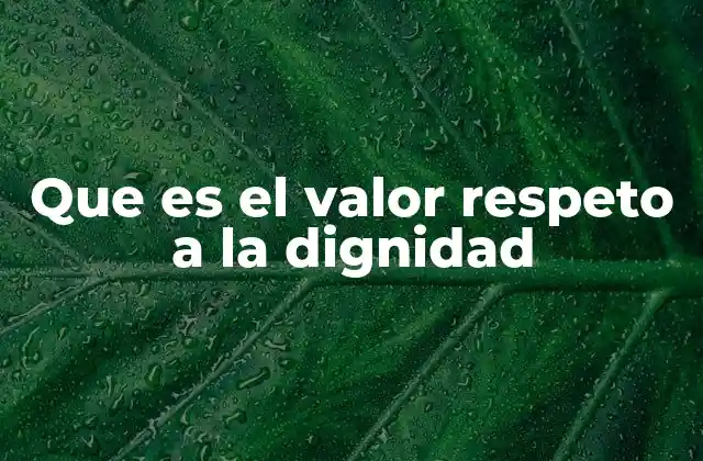 Que es el Valor Respeto a la Dignidad
