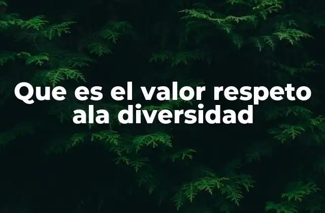 Que es el Valor Respeto Ala Diversidad 2 La importancia de la convivencia en un mundo diverso
