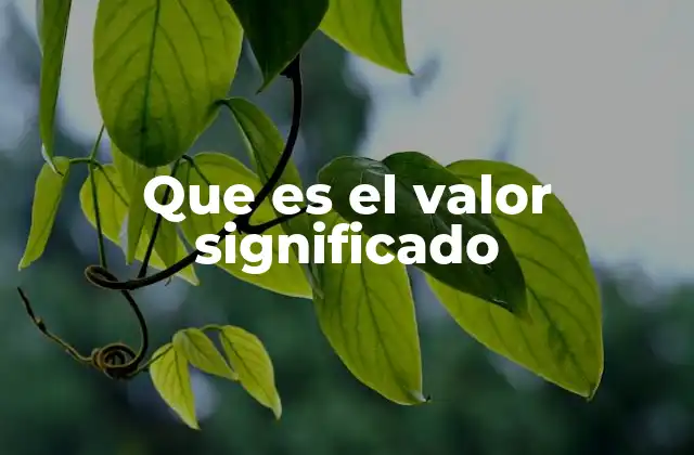 Que es el Valor Significado