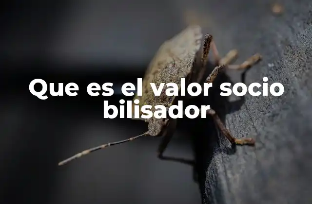 Que es el Valor Socio Bilisador