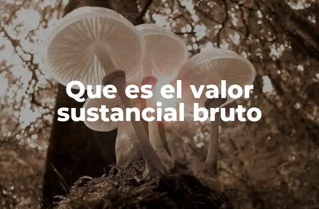 Que es el Valor Sustancial Bruto