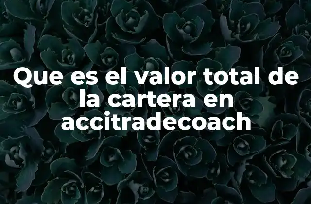 Que es el Valor Total de la Cartera en Accitradecoach