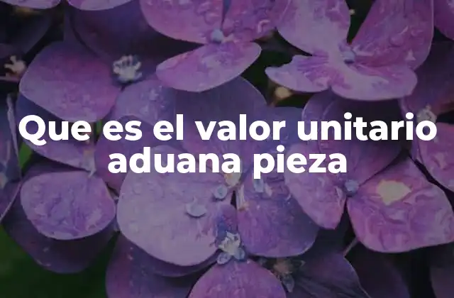 Que es el Valor Unitario Aduana Pieza
