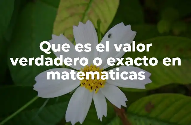 Que es el Valor Verdadero o Exacto en Matematicas