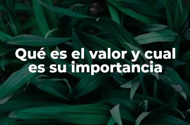 Qué es el Valor y Cual es Su Importancia 2 La influencia del valor en la toma de decisiones