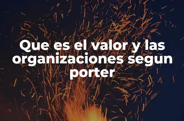 Que es el Valor y las Organizaciones Segun Porter