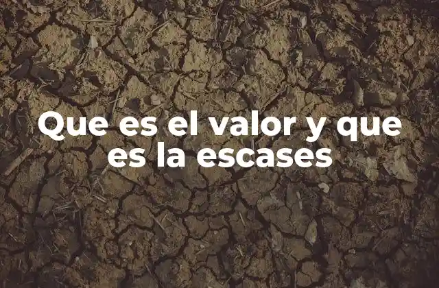 Cómo la escasez y el valor impactan en la toma de decisiones económicas