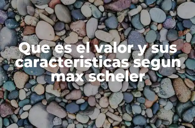 Que es el Valor y Sus Caracteristicas Segun Max Scheler
