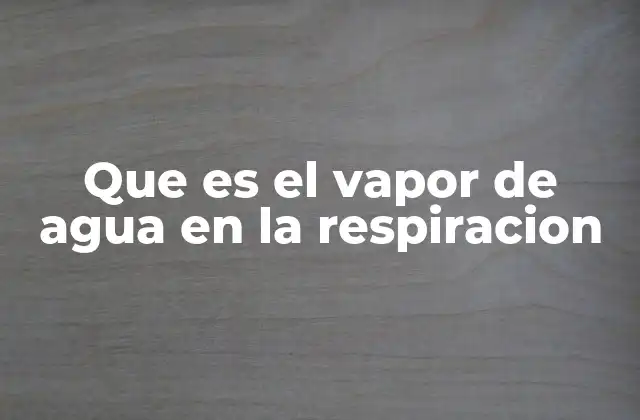 Que es el Vapor de Agua en la Respiracion