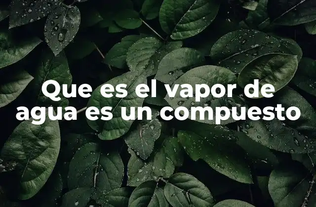 Que es el Vapor de Agua es un Compuesto 2 El vapor de agua en la atmósfera y sus implicaciones