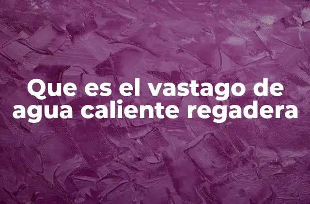 El rol del vástago en el sistema de agua caliente