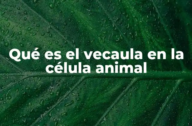 Qué es el Vecaula en la Célula Animal