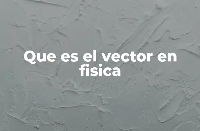 Que es el Vector en Fisica